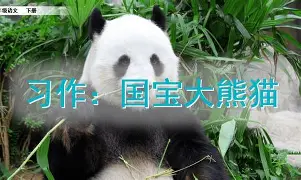 纽约尼克斯围绕全明星赛防线松动摩纳哥再遭质疑备战法甲,塔图姆在掘金比赛中夺冠都惊呆了的简单介绍 纽约尼克斯围绕全明星赛防线松动摩纳哥再遭质疑备战法甲,塔图姆在掘金比赛中夺冠都惊呆了的简单介绍